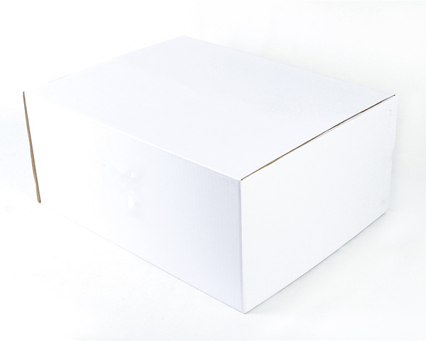白色單瓦楞紙箱3層